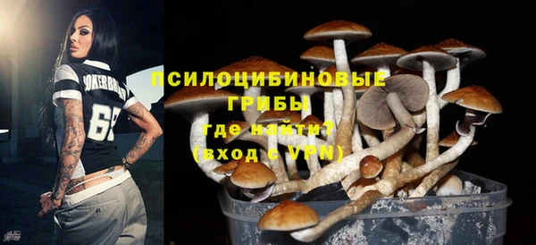 MDMA Premium VHQ Бородино
