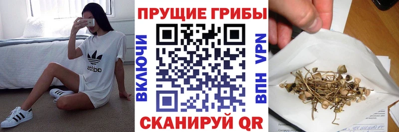Псилоцибиновые грибы прущие грибы  hydra ссылки  Дорогобуж  где найти наркотики 
